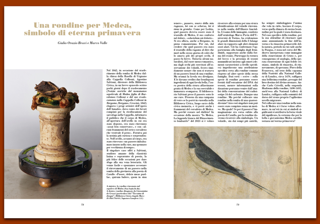 Rivista 124_Una rondine per Medea